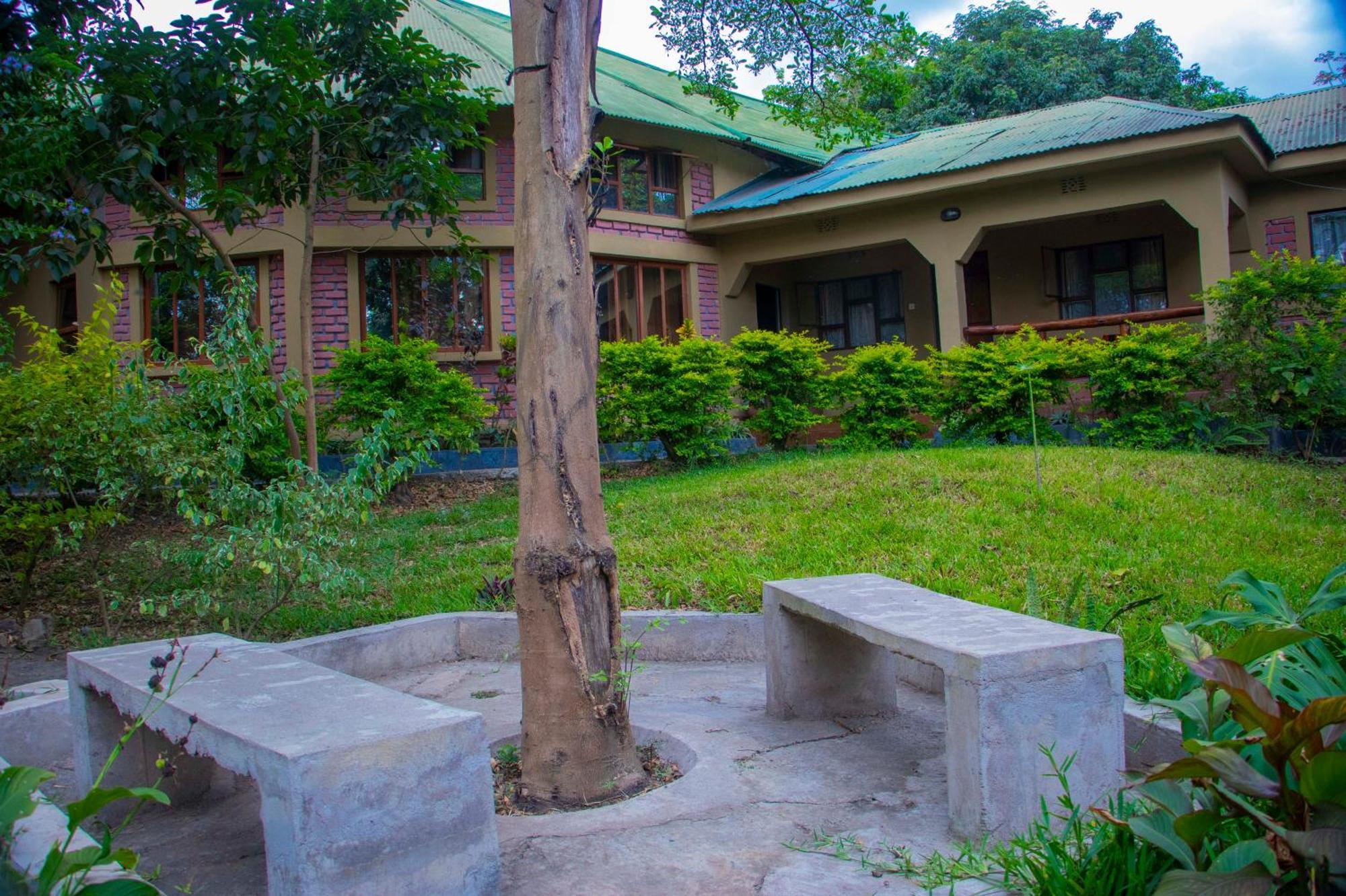 Shamba Hostel Usa River Екстериор снимка