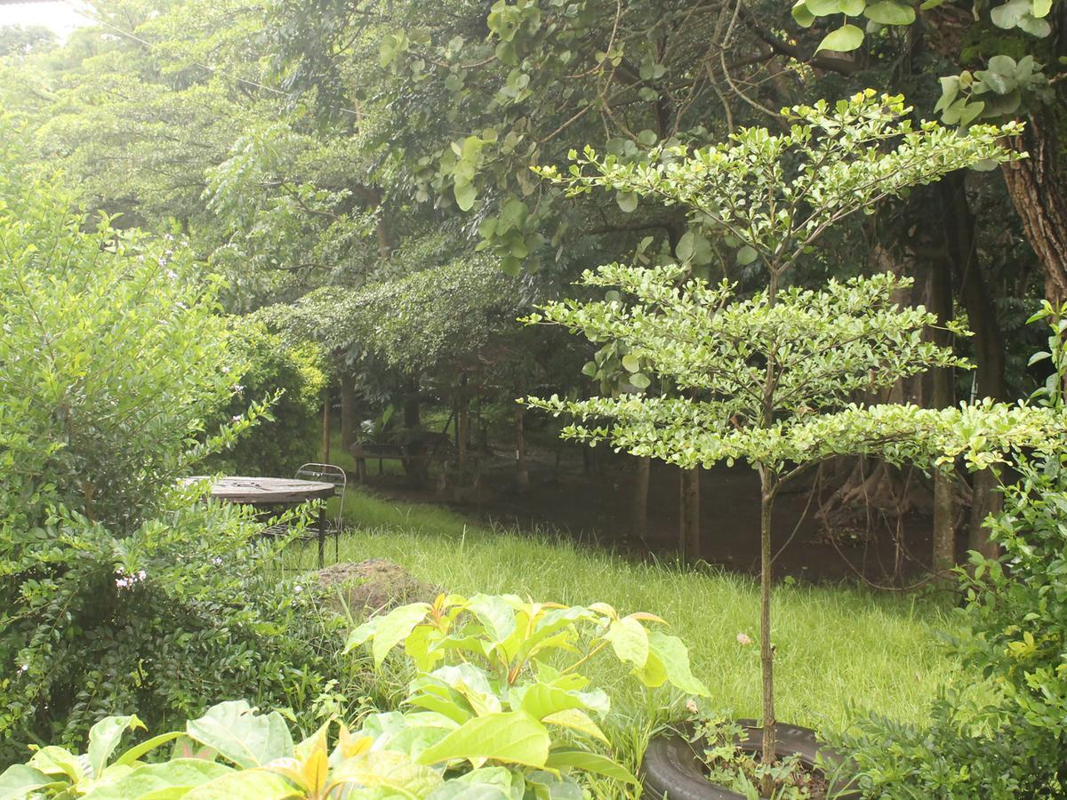 Shamba Hostel Usa River Екстериор снимка